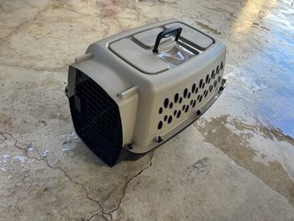 Small kennel and carrier kangaroo