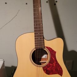 Donner guitar 