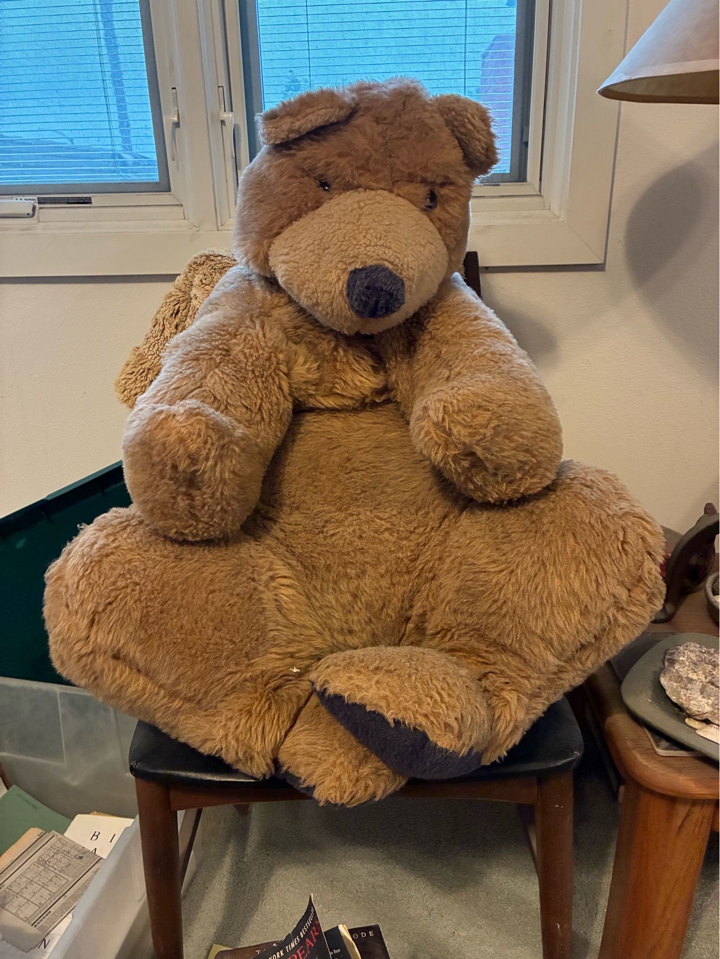 Big, beautiful, snuggly teddy bear!