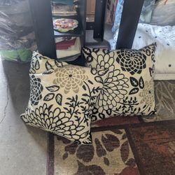 SET OF TWO 30 X 30 PILLOWS 