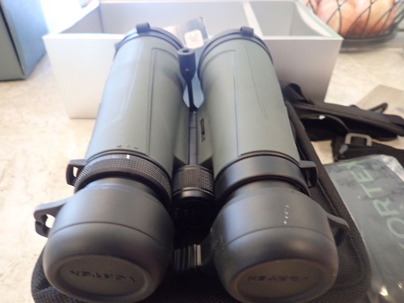 Vortex kaibab 15x56 for sale 2025