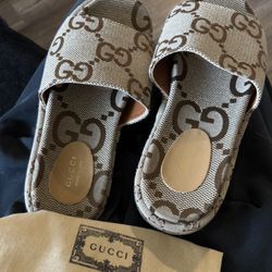Slides 