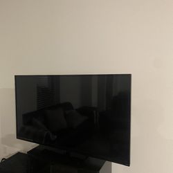 55 Inch Vizio Television 