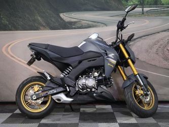 2024 Kawasaki Z125 PRO
