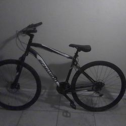 21 Speed Schwinn Glenwood