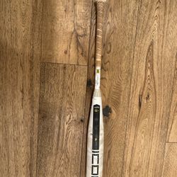 Icon Baseball Bat 30in Drop 5