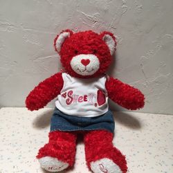 Build A Bear Teddy Bear 🧸