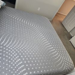 Tempur-Pedic Queen Sized Matress