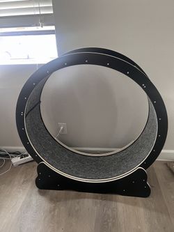 Cat Wheel 🐈