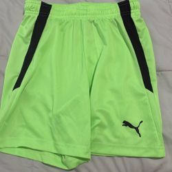 Puma soccer shorts