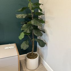 Faux Plant In Ceramic Pot About 5ft Tall 