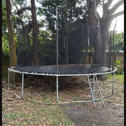 Trampoline FREE
