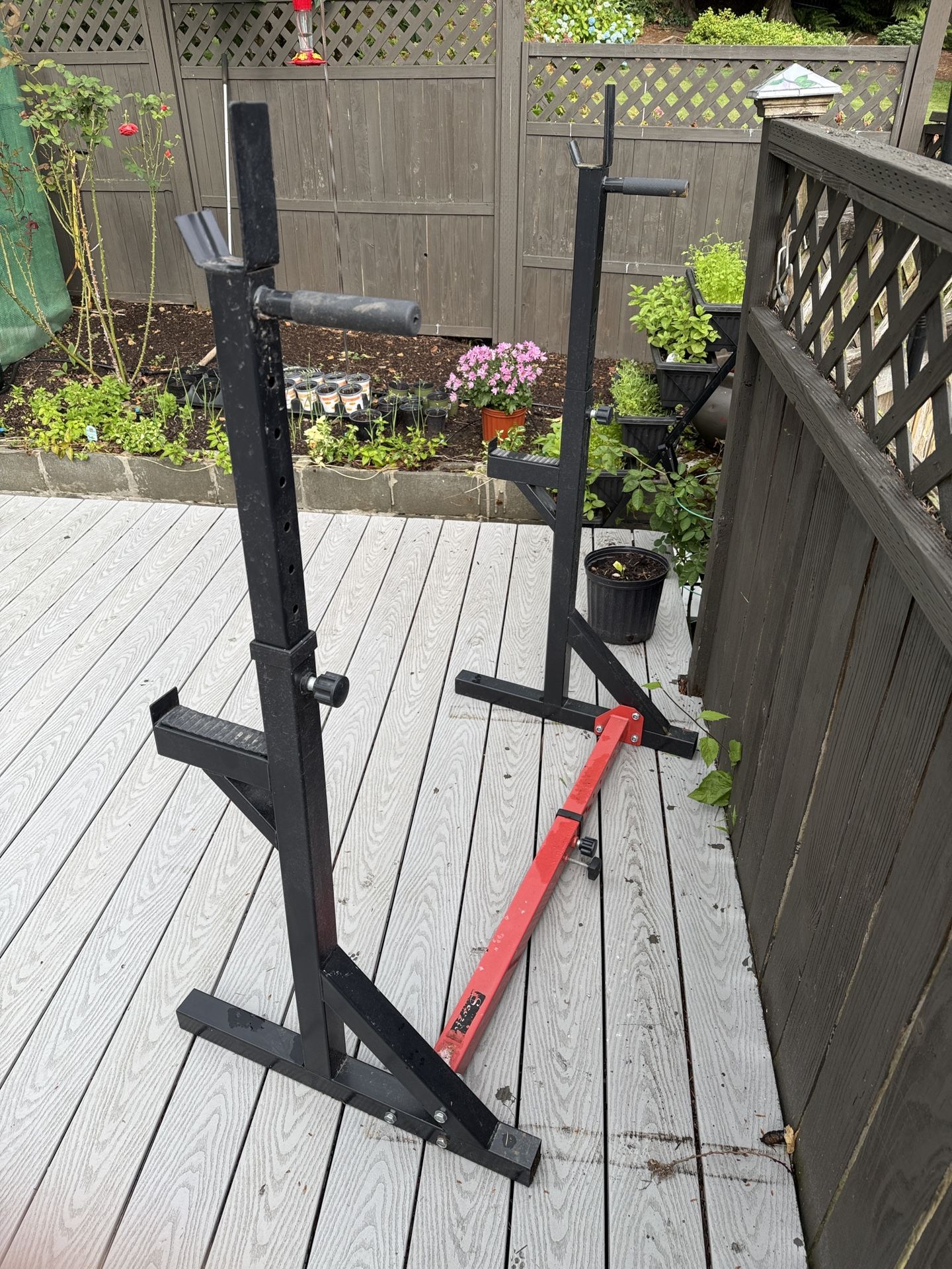 Adjustable Squat Rack / Weightlifting Stand – Sturdy and Compact