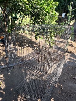 Cages