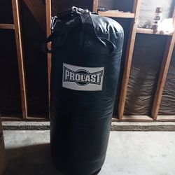 200 pound punching bag 5 feet tall