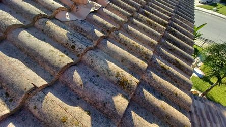 Pressure Washer for Roofs, solar, driveway, brick, that green stuff too