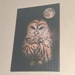Owl Canvas Wall Art