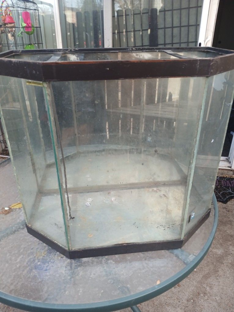 Vintage Fish Tank