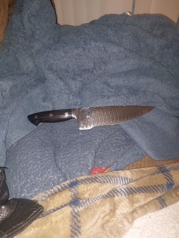 Shun/Kramer For Sale