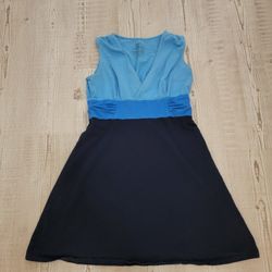 Patagonia Women's Margot Dress in Blue Colorblock Design