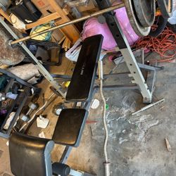 Weight Bench With Weights 