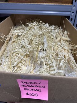 Dried Bleached Florals for wedding