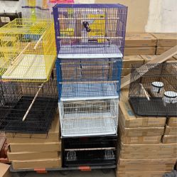Bird House