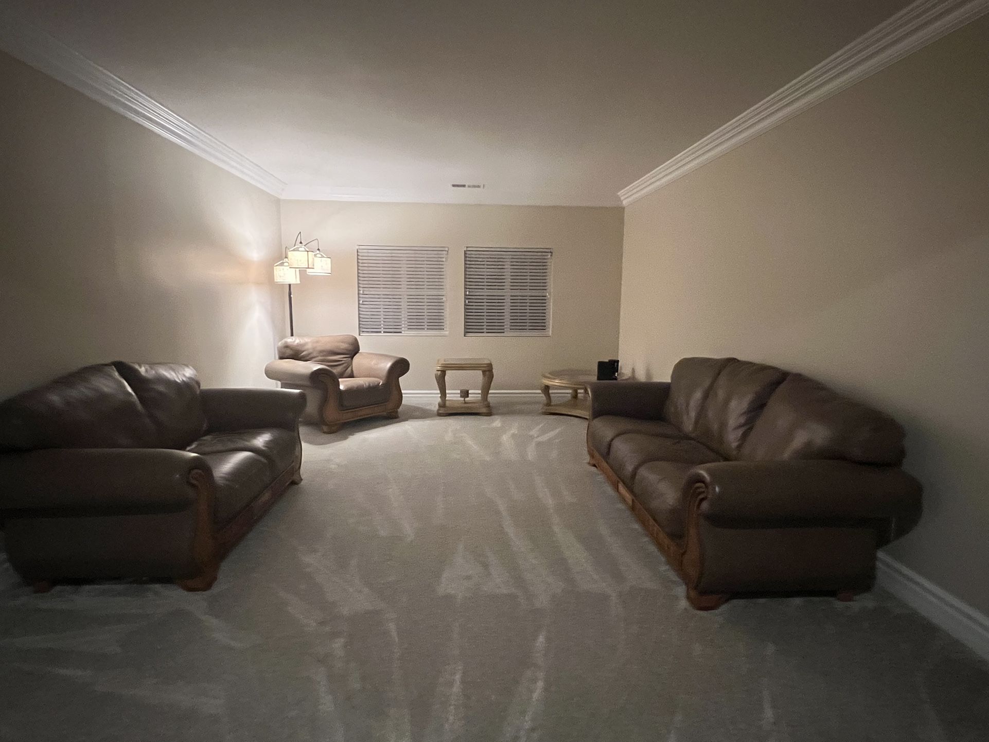 Leather Sofas