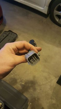 Honda Distributer harness