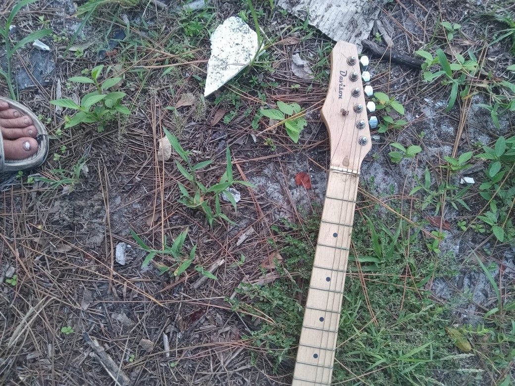 Davidson Guitar
