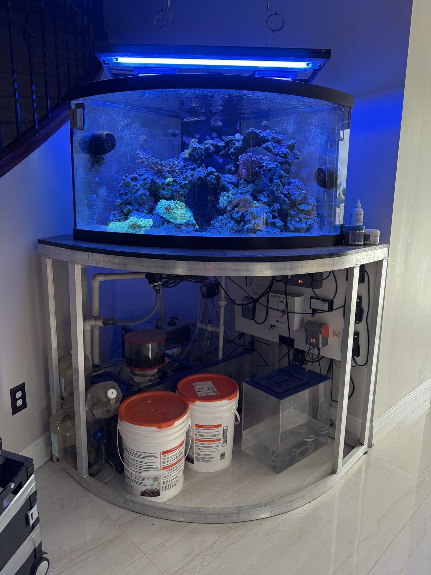 Fish Tank Aquarium - 92 Gallon Bow Front