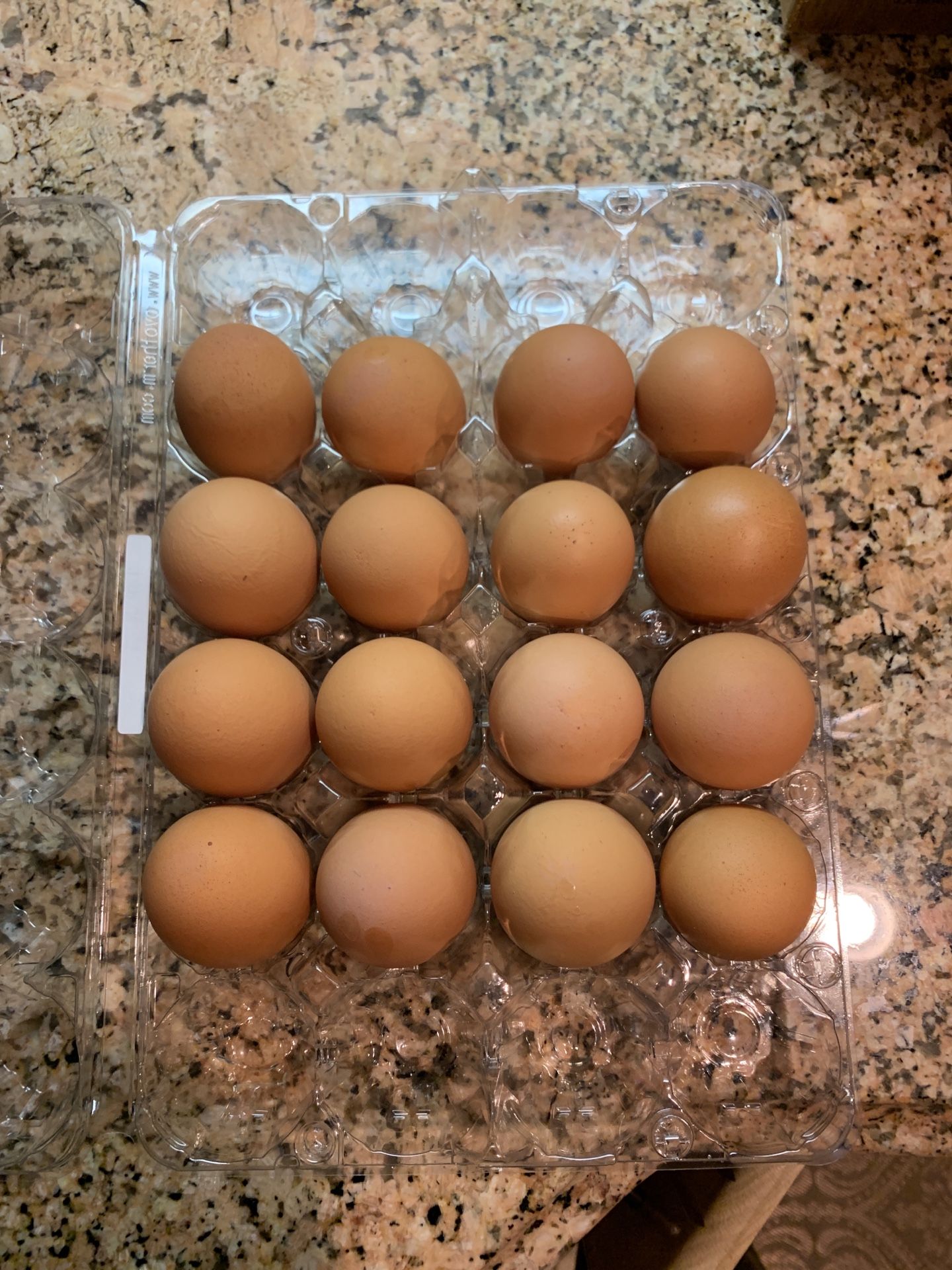 🍳 eggs farm fresh