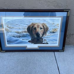 Bird’s Eye View Golden Retriever Print