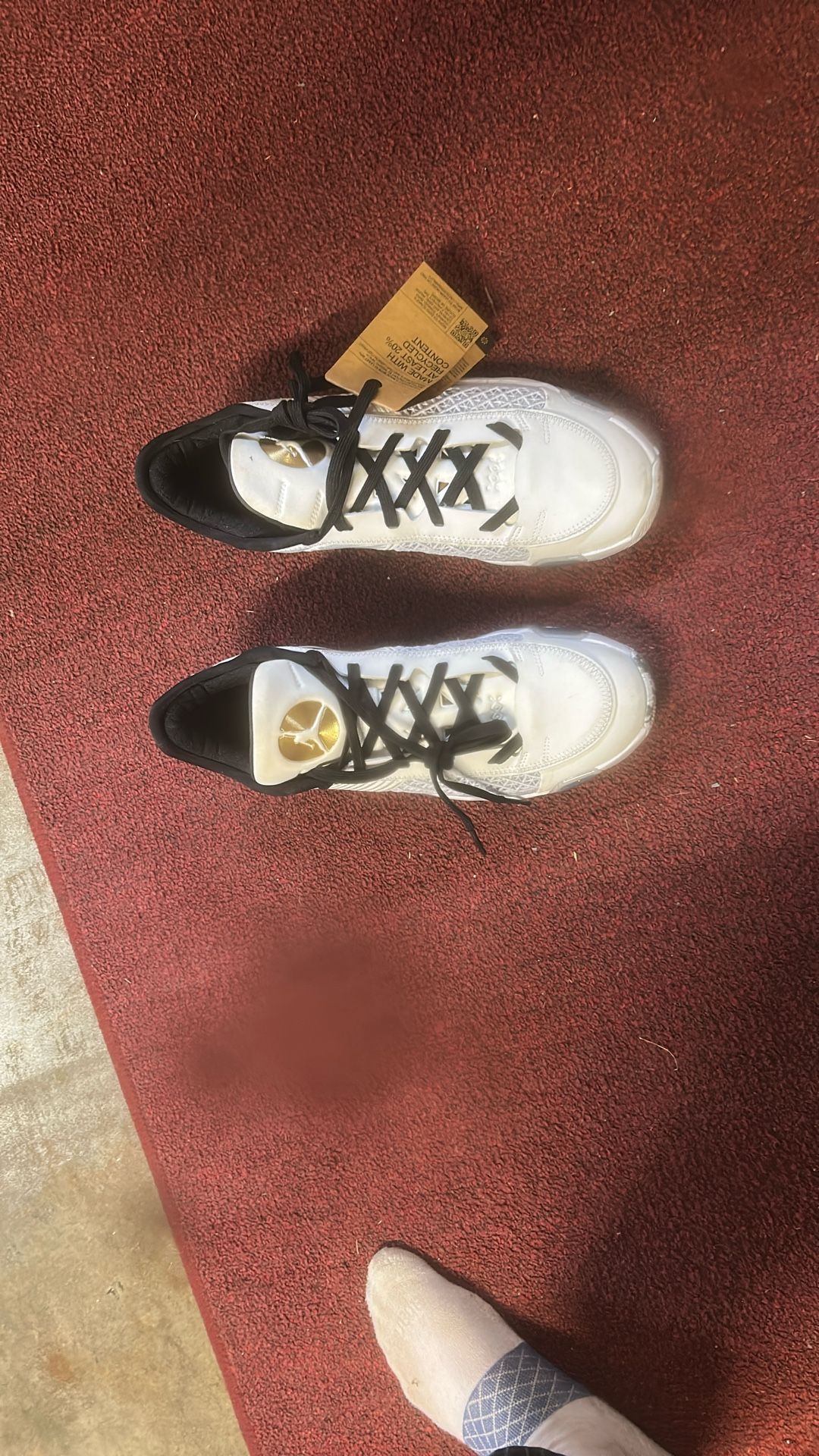 Jordan’s 38 xxxvviii Size 11
