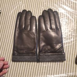Daks Leather Glove