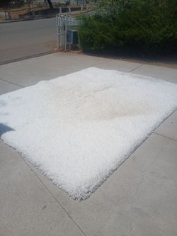 8 x 10 west elm cozy plush white shag rug