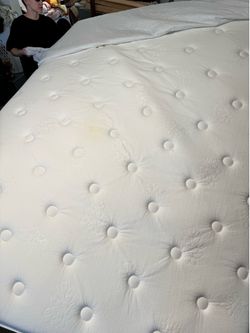 Zinus Queen 10” Hybrid Mattress – $55