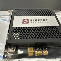 Bigfoot Gigabit Network Card