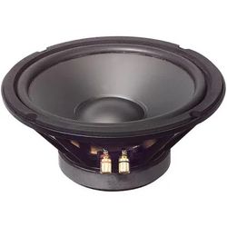 Goldwood 10" Heavy Duty Subwoofer