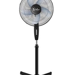 Fan
