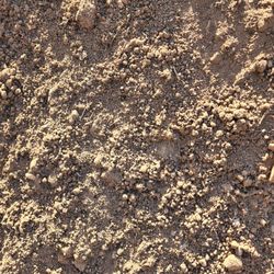Fill Dirt