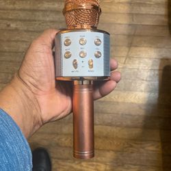 Bluetooth wireless microphone and speaker.  