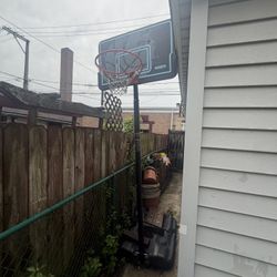 Lifetime Basketball Ball Hoop 