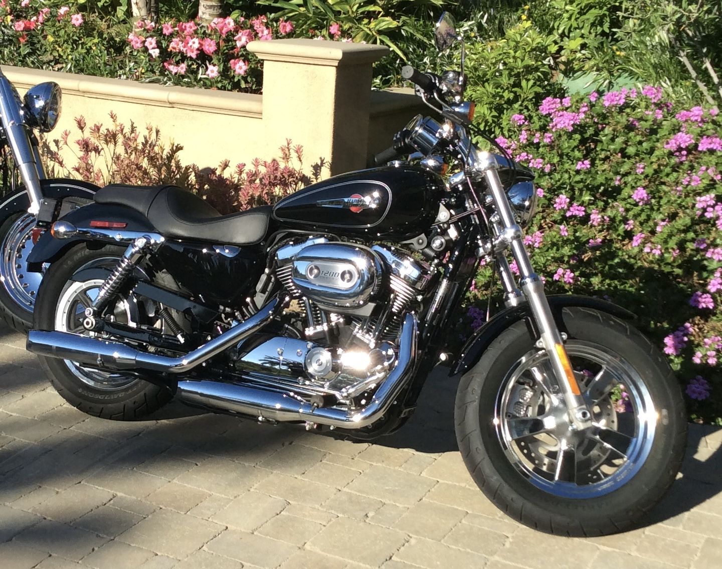 2014 Harley Davidson Sportster 1200 Custom