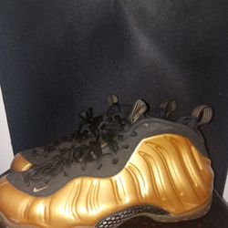 Nike Foamposite Mem Size 8.5 