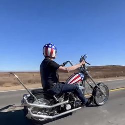 1998 Harley Davidson Special construction