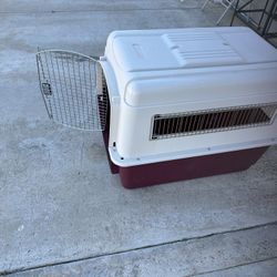 Nice Dog Kennel With Dominate 2 To 4 Puppies 