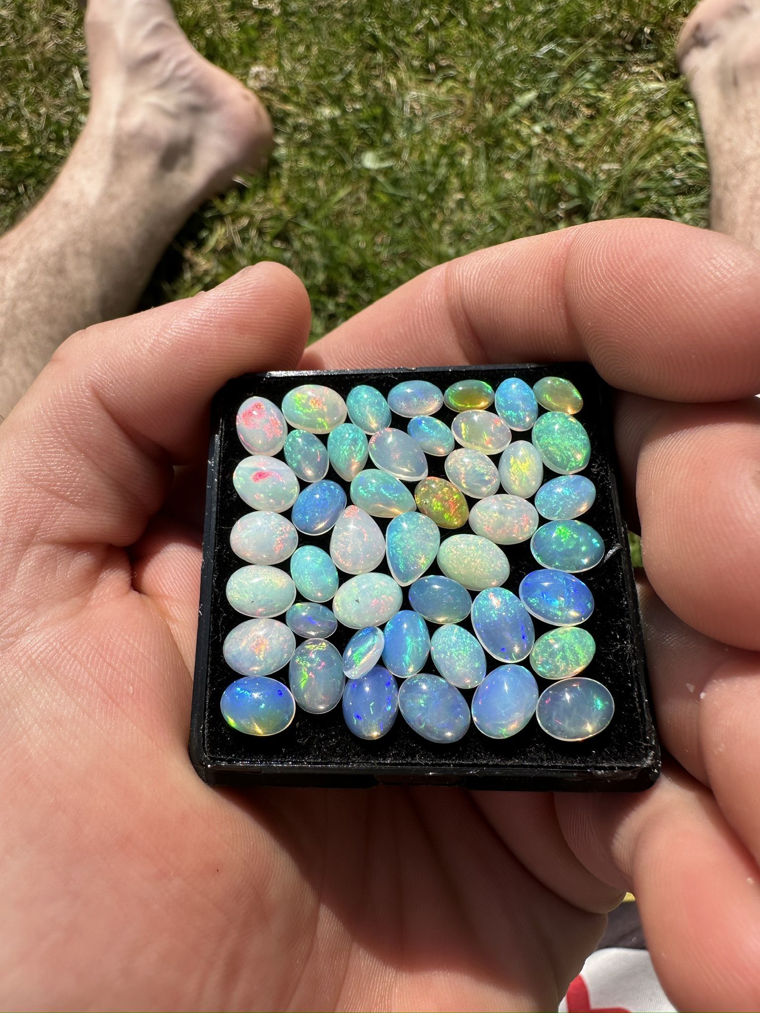 28.35CT Opal Parcel