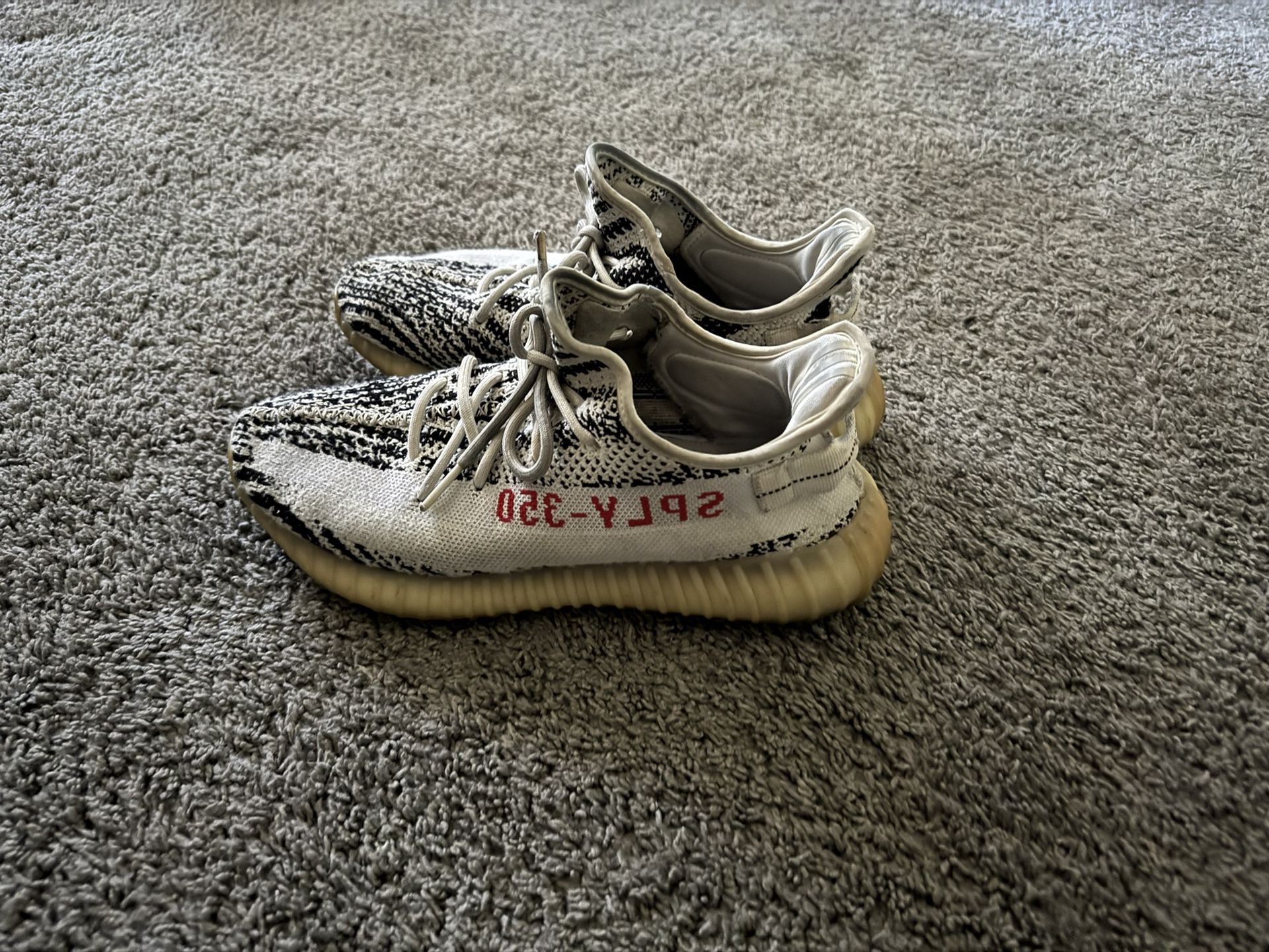 Zebra Yeezys