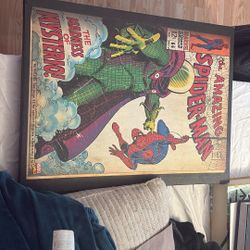 The Amazing Spider-Man  “The Madness of Mysterio!”